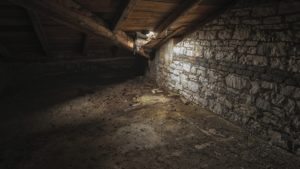 crawl space attic greensboro animals