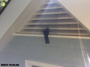 Bat valve Critter Control Triad Animal Exclusion Greensboro