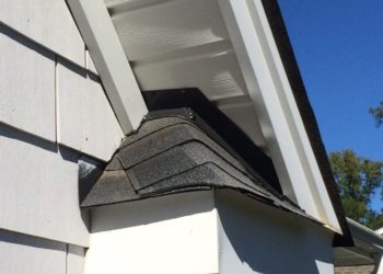 Flashed (Weatherproofed) Eave of Roof Critter Control Triad