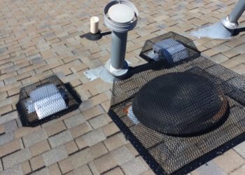 Roof vents protected Critter Control Triad Animal Exclusion Greensboro