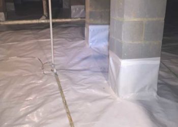 Crawl Space Protected Critter Control Triad Encapsulated crawl space Greensboro